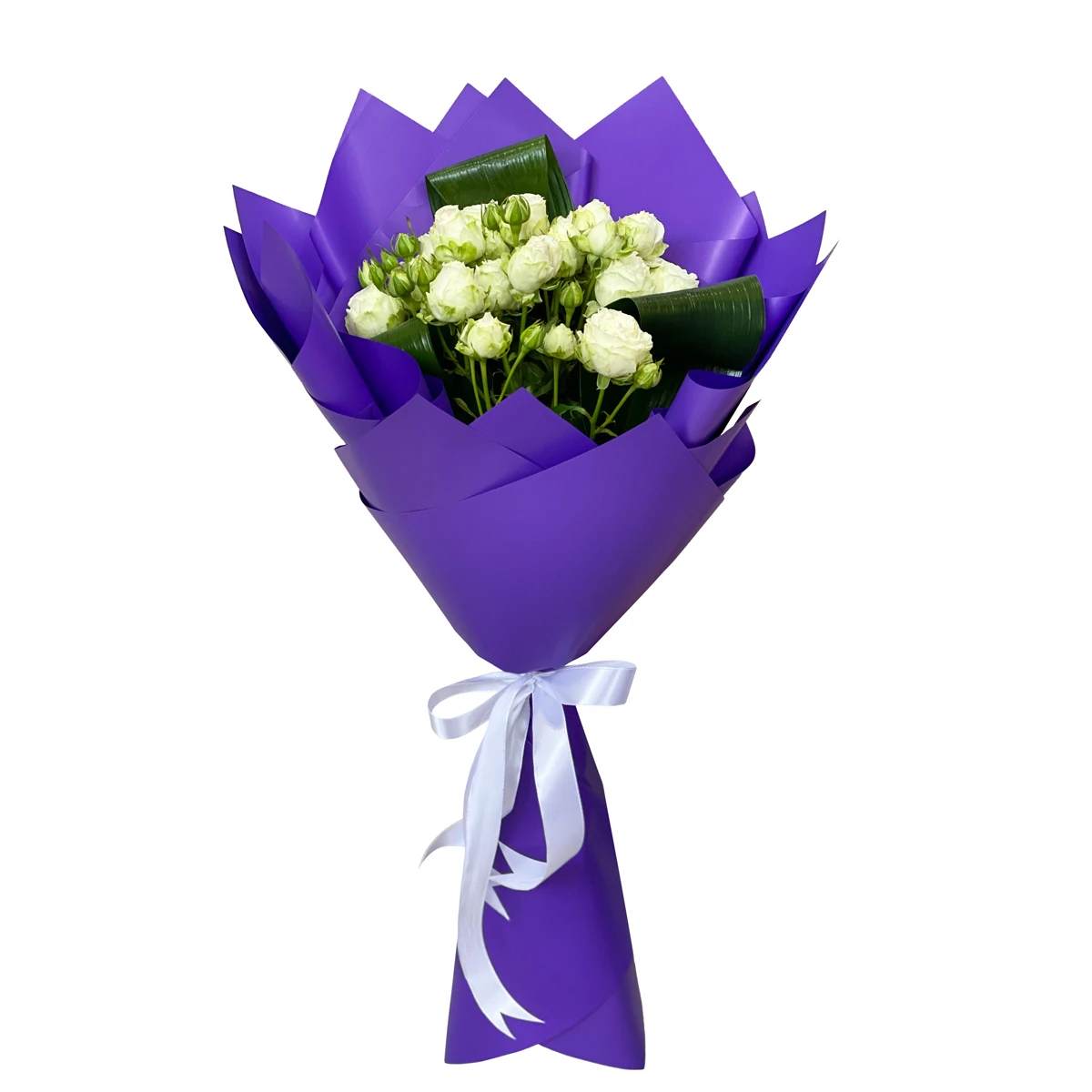 product card image
