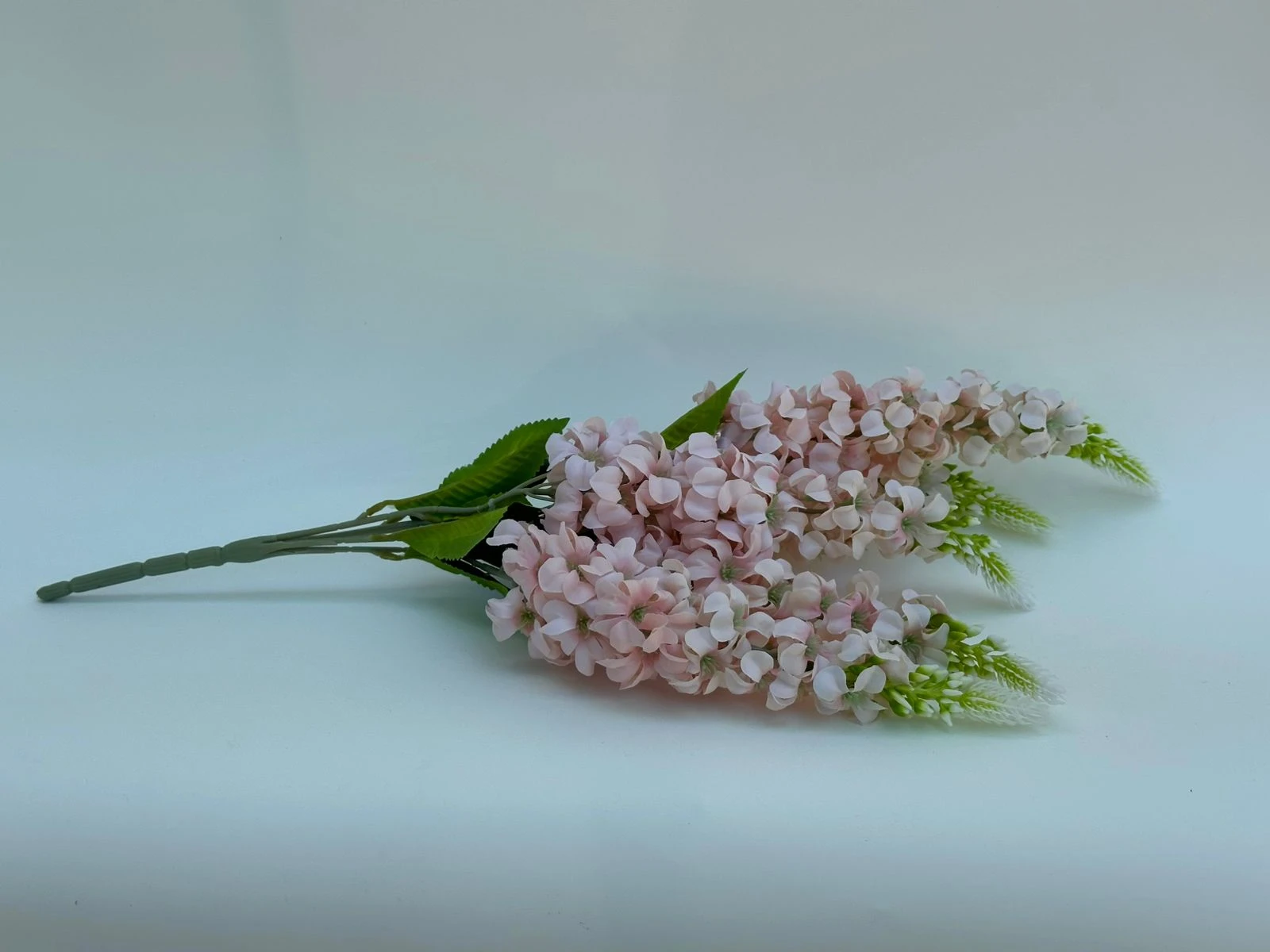 product card image