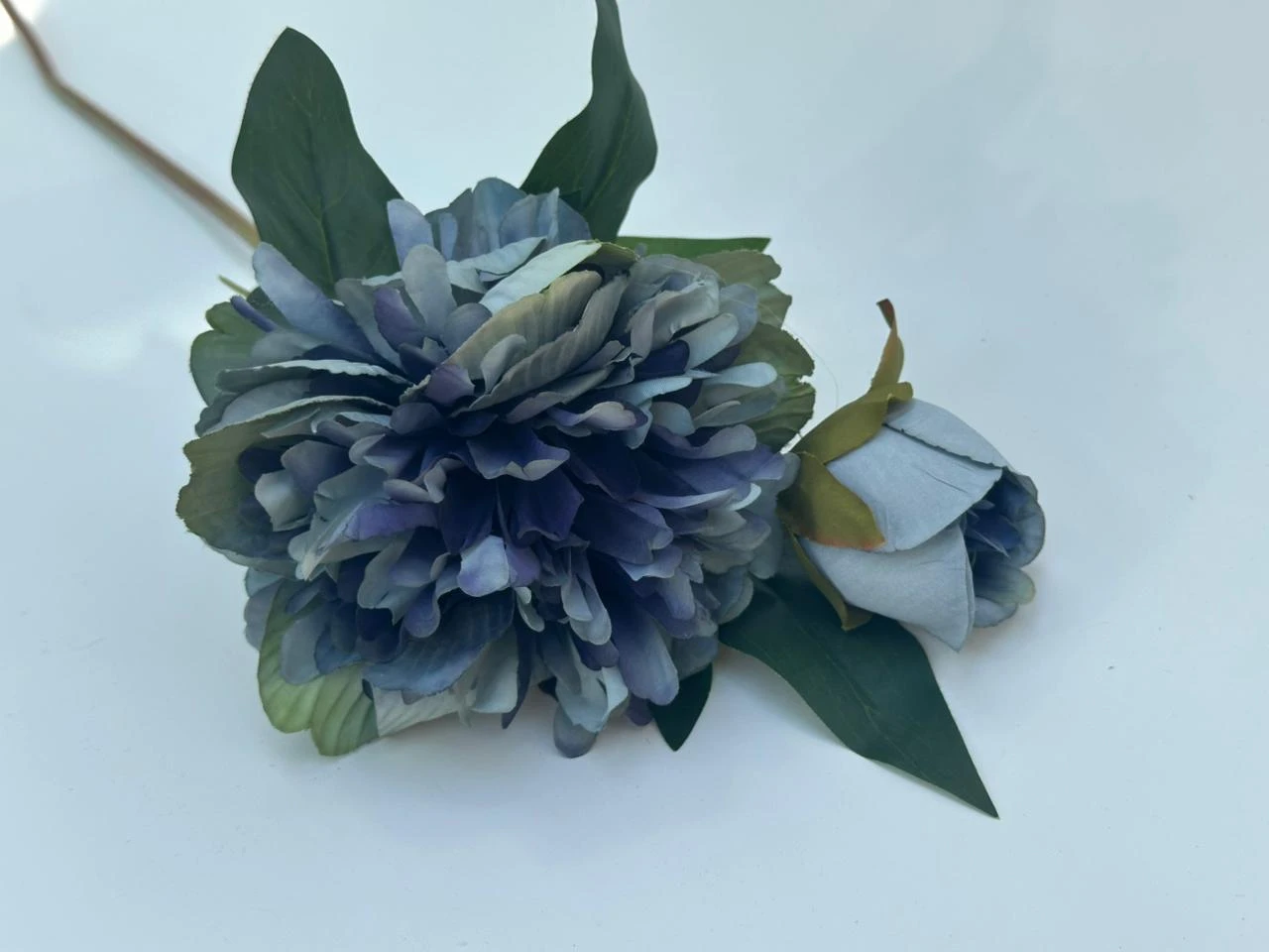 product card image