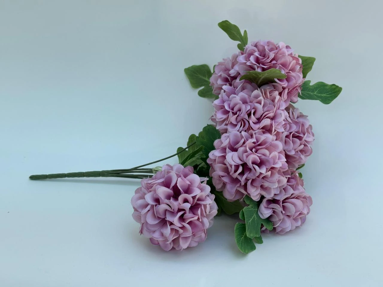 product card image