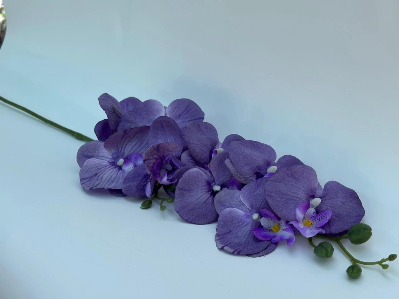 product card image