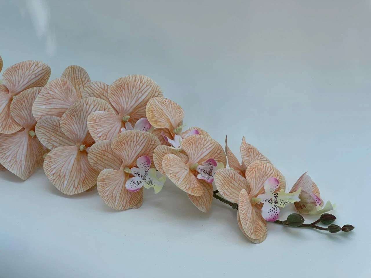 product card image
