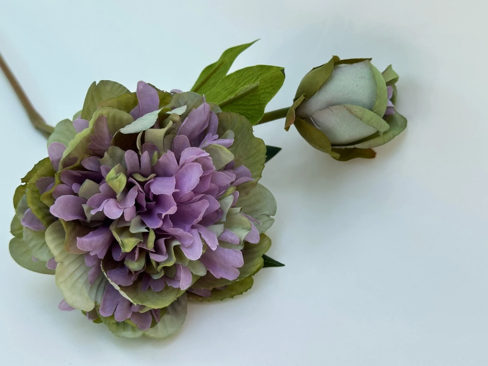 product card image