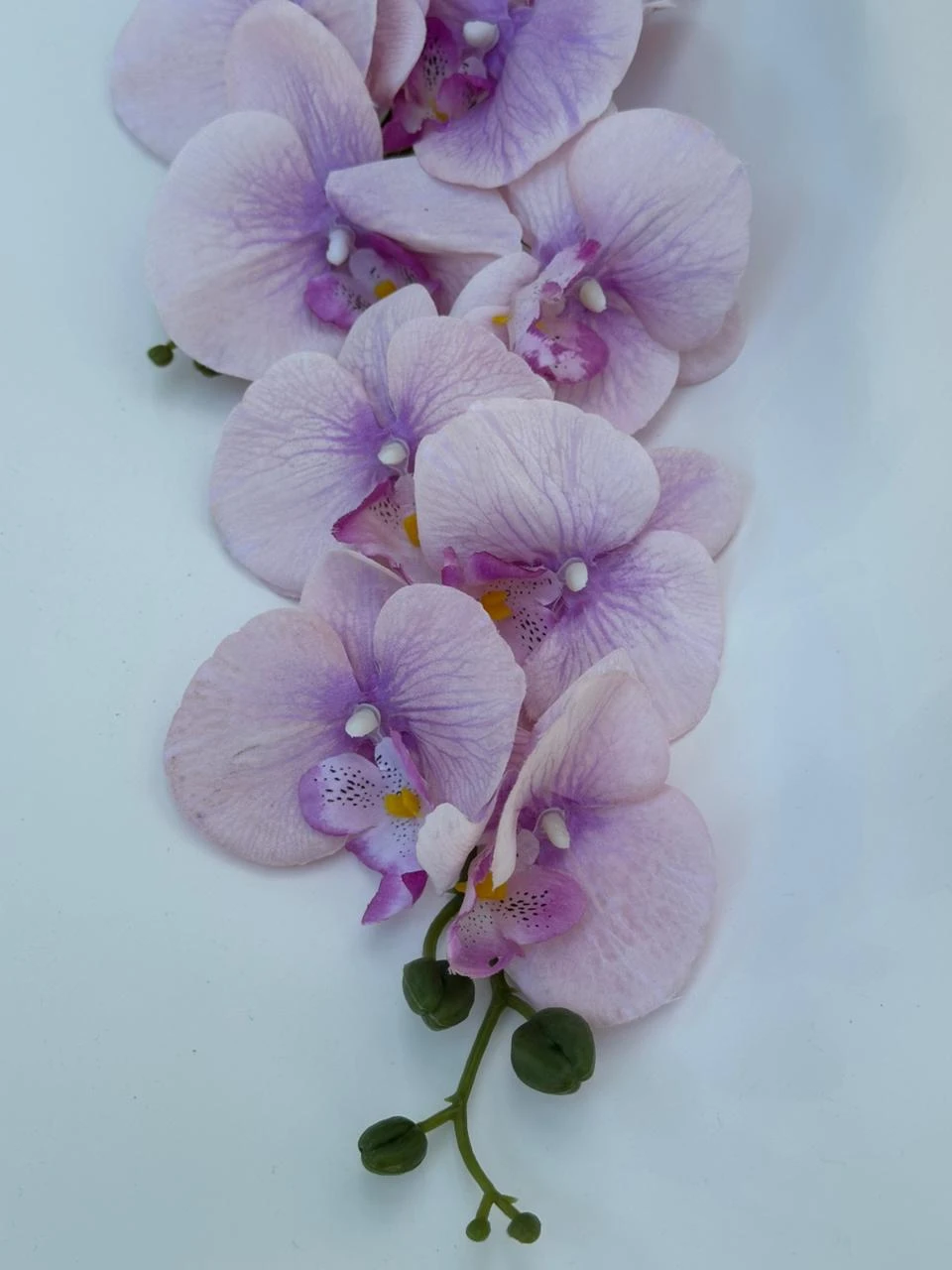 product card image