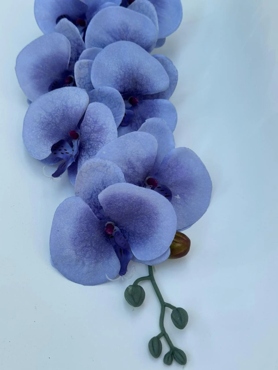 product card image