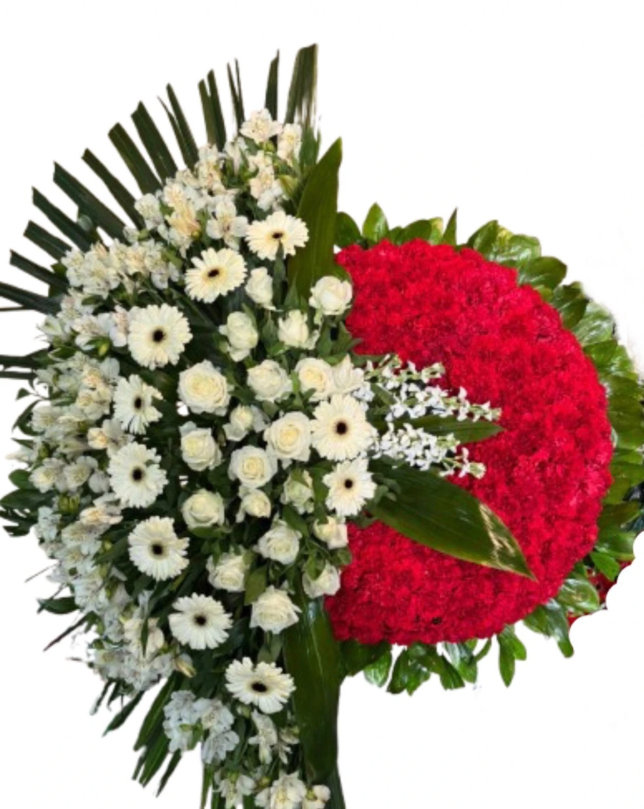 product card image