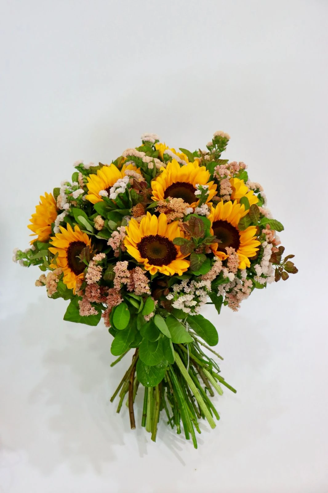 product card image