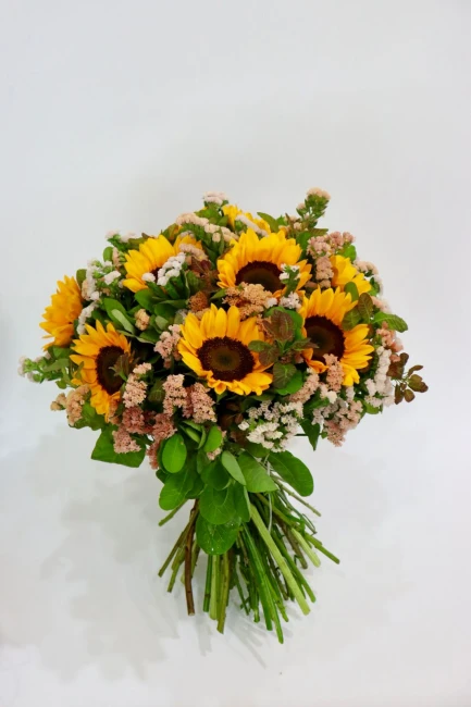 product card image