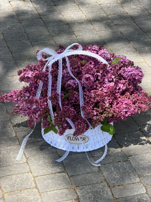 product card image